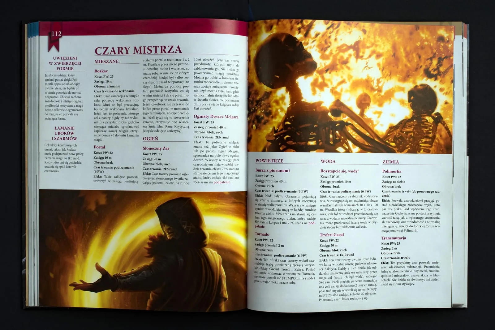 RPG – The Witcher