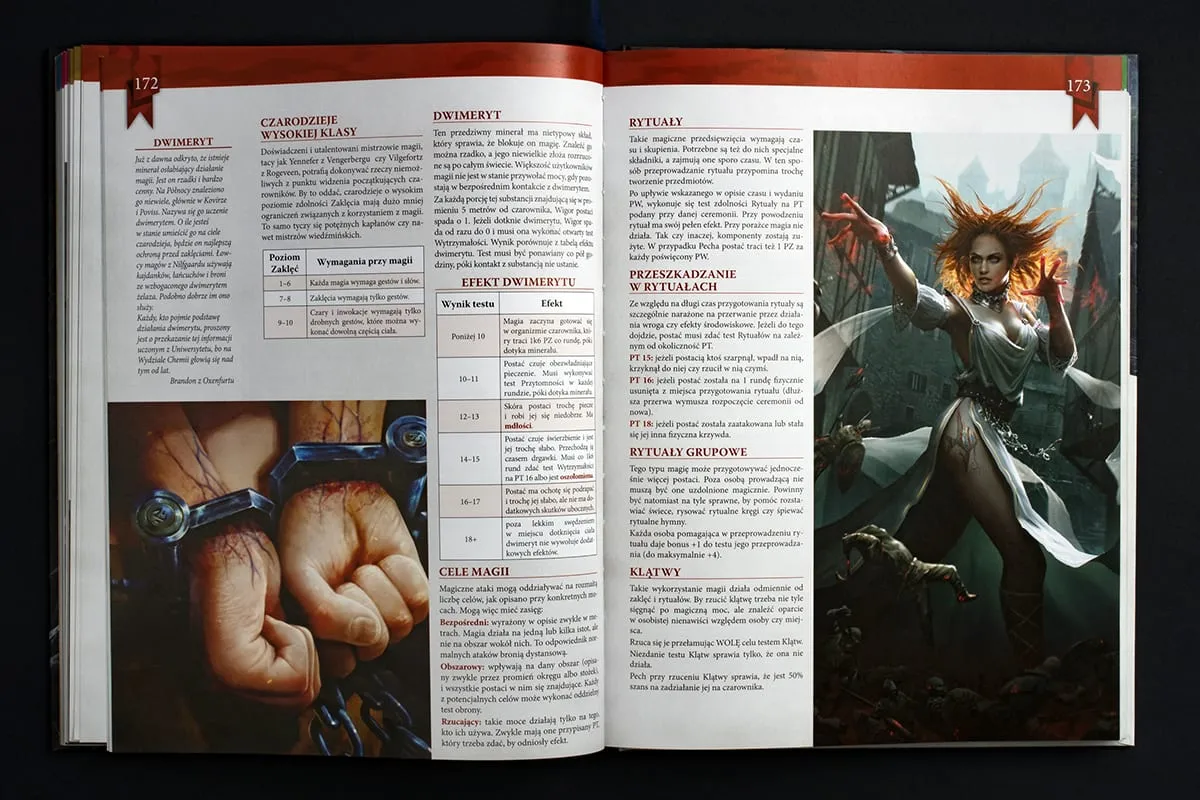RPG – The Witcher