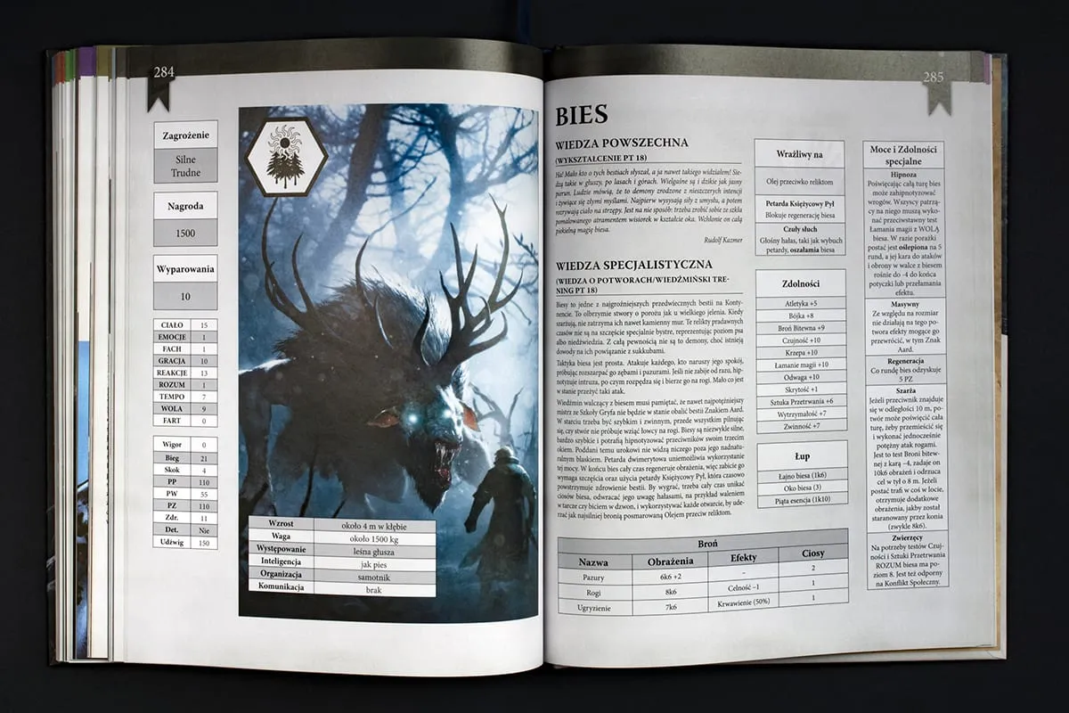RPG – The Witcher