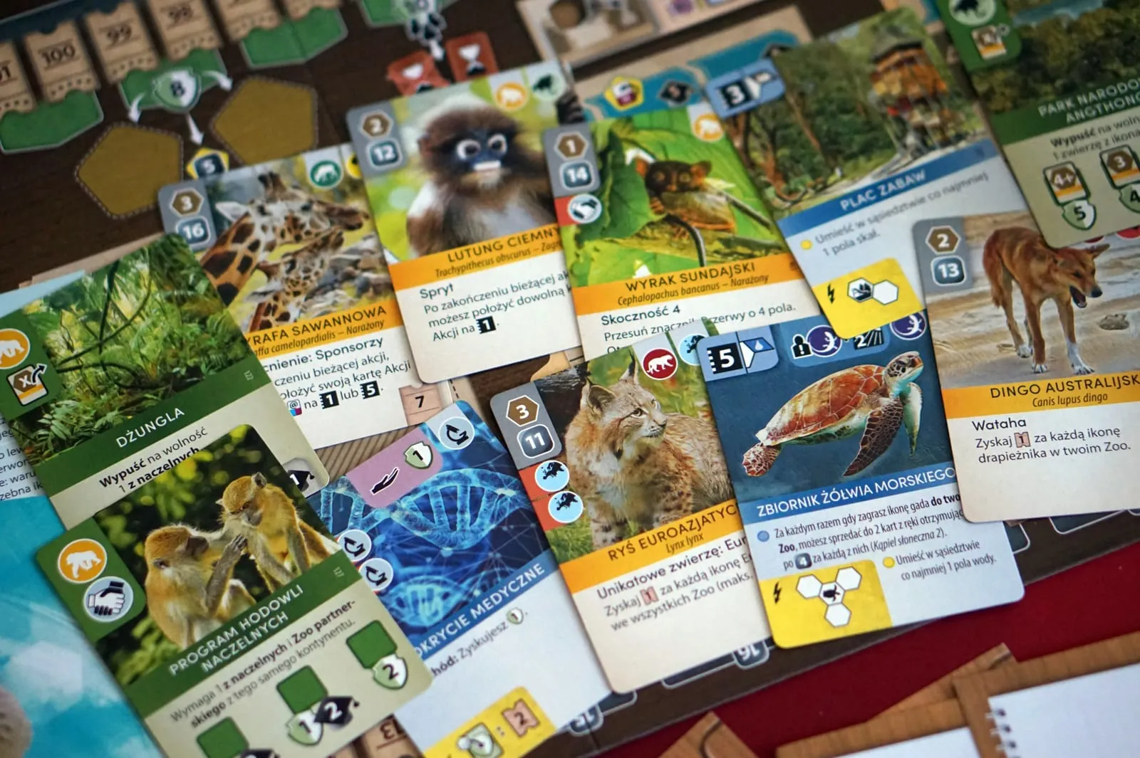Unboxing – Ark Nova