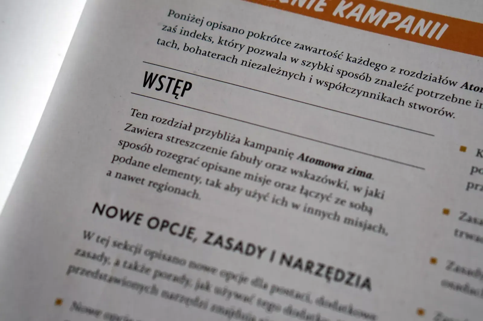 Atomowa Zima – Fallout RPG