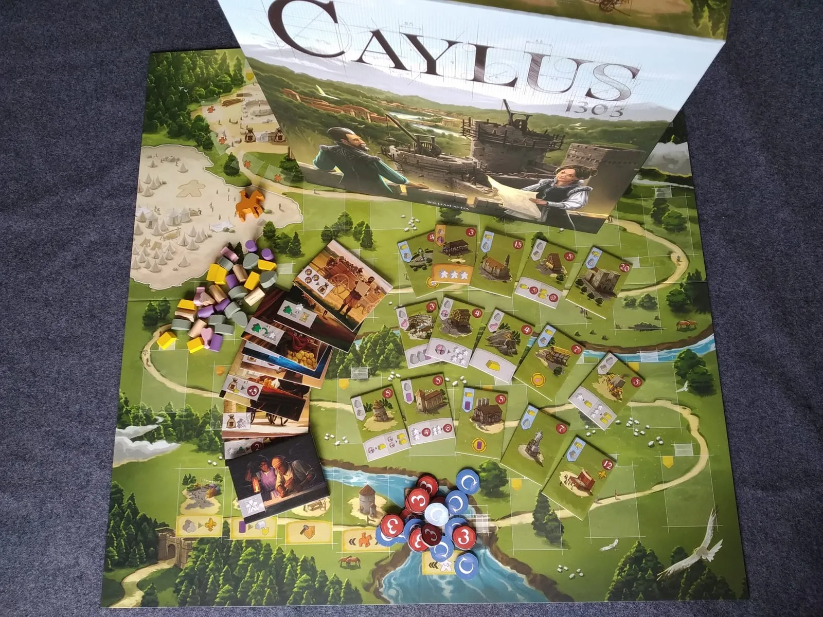 Caylus 1303