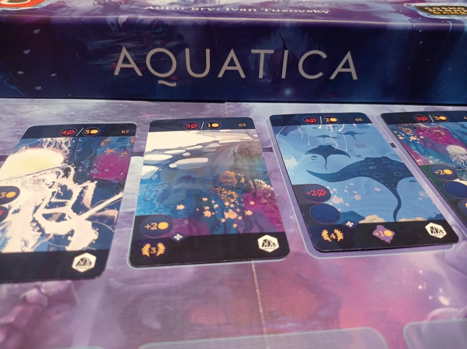 Aquatica – Mroźne Wody