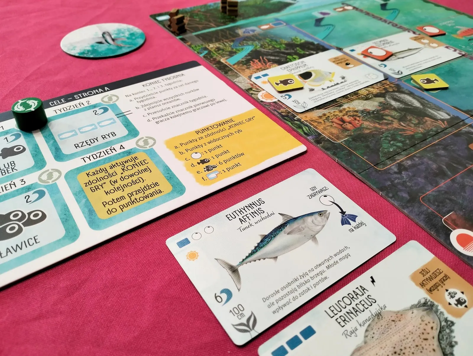 Na dnie morza
