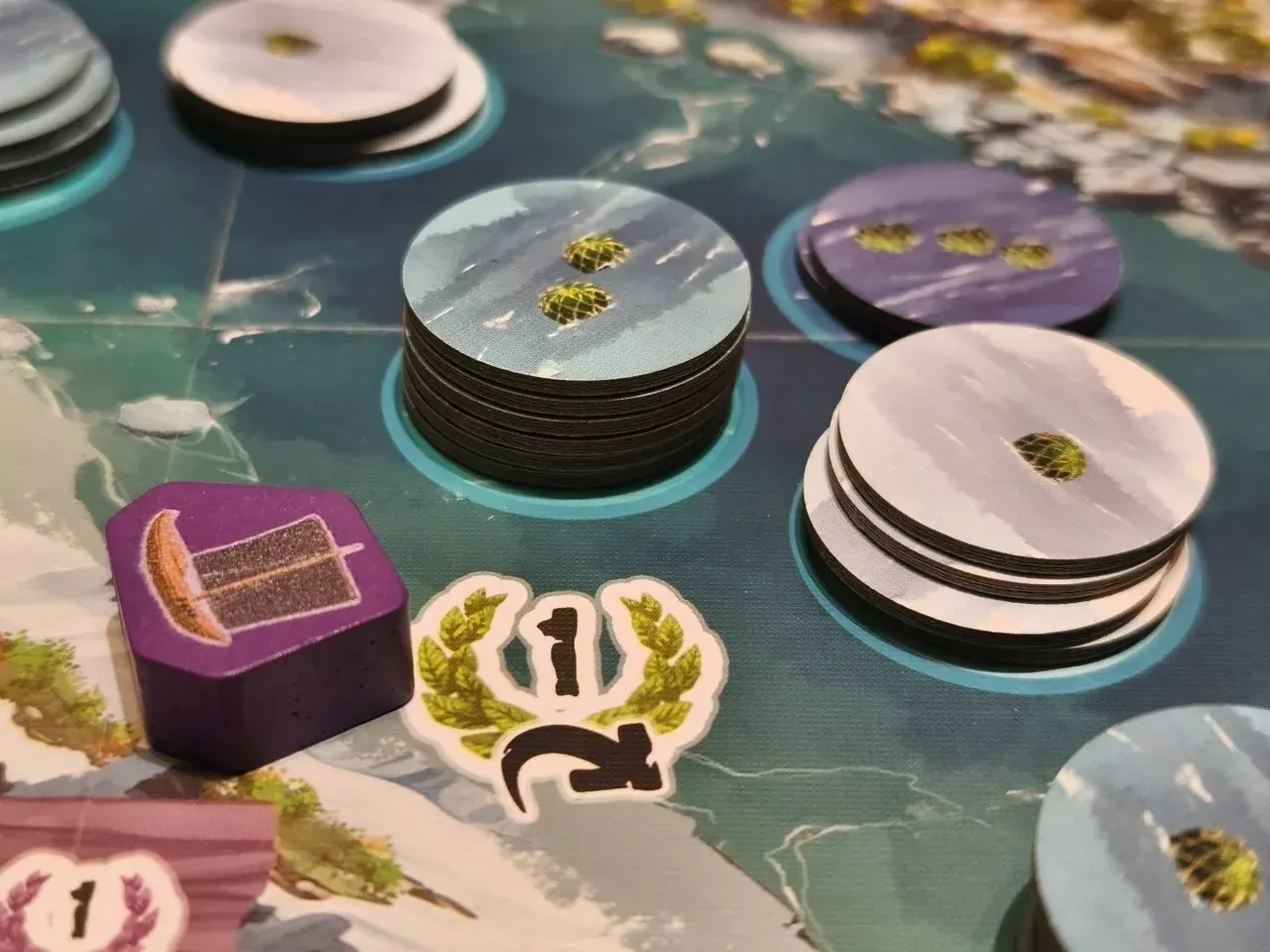Saltfjord