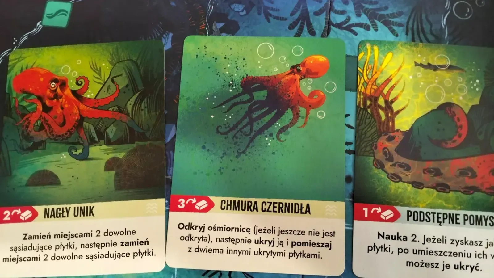 Kelp: Macki kontra Szczęki